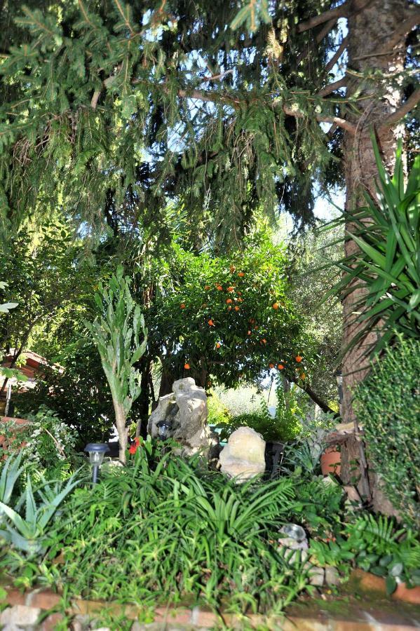 Casa Pontecorvi Bed & Breakfast Velletri Ngoại thất bức ảnh