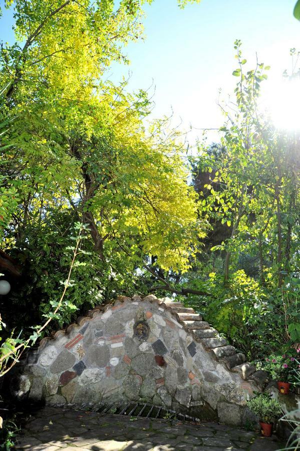 Casa Pontecorvi Bed & Breakfast Velletri Ngoại thất bức ảnh