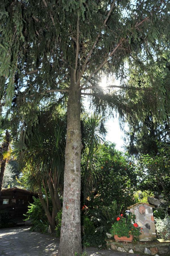 Casa Pontecorvi Bed & Breakfast Velletri Ngoại thất bức ảnh