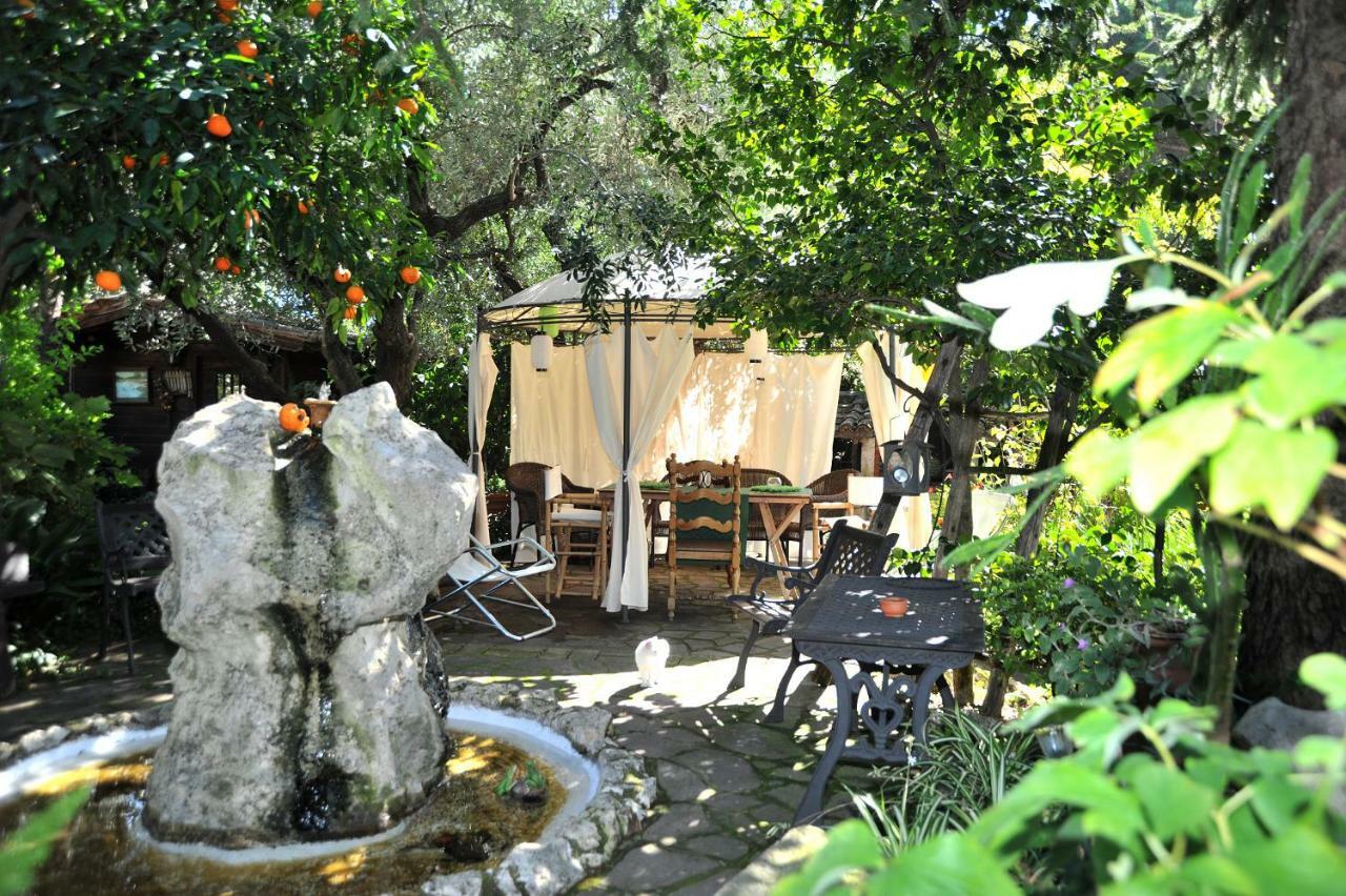 Casa Pontecorvi Bed & Breakfast Velletri Ngoại thất bức ảnh